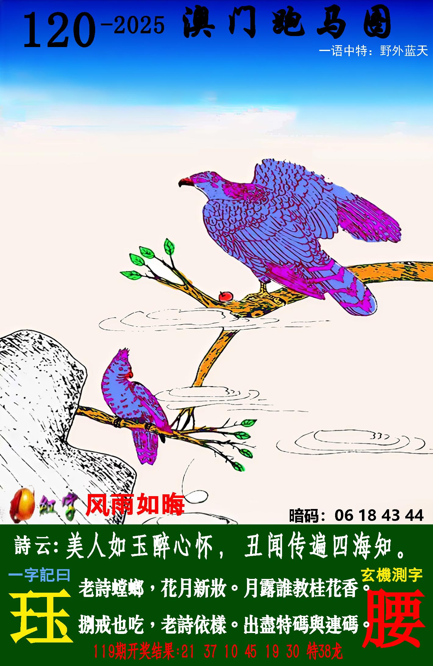 点击图片放大