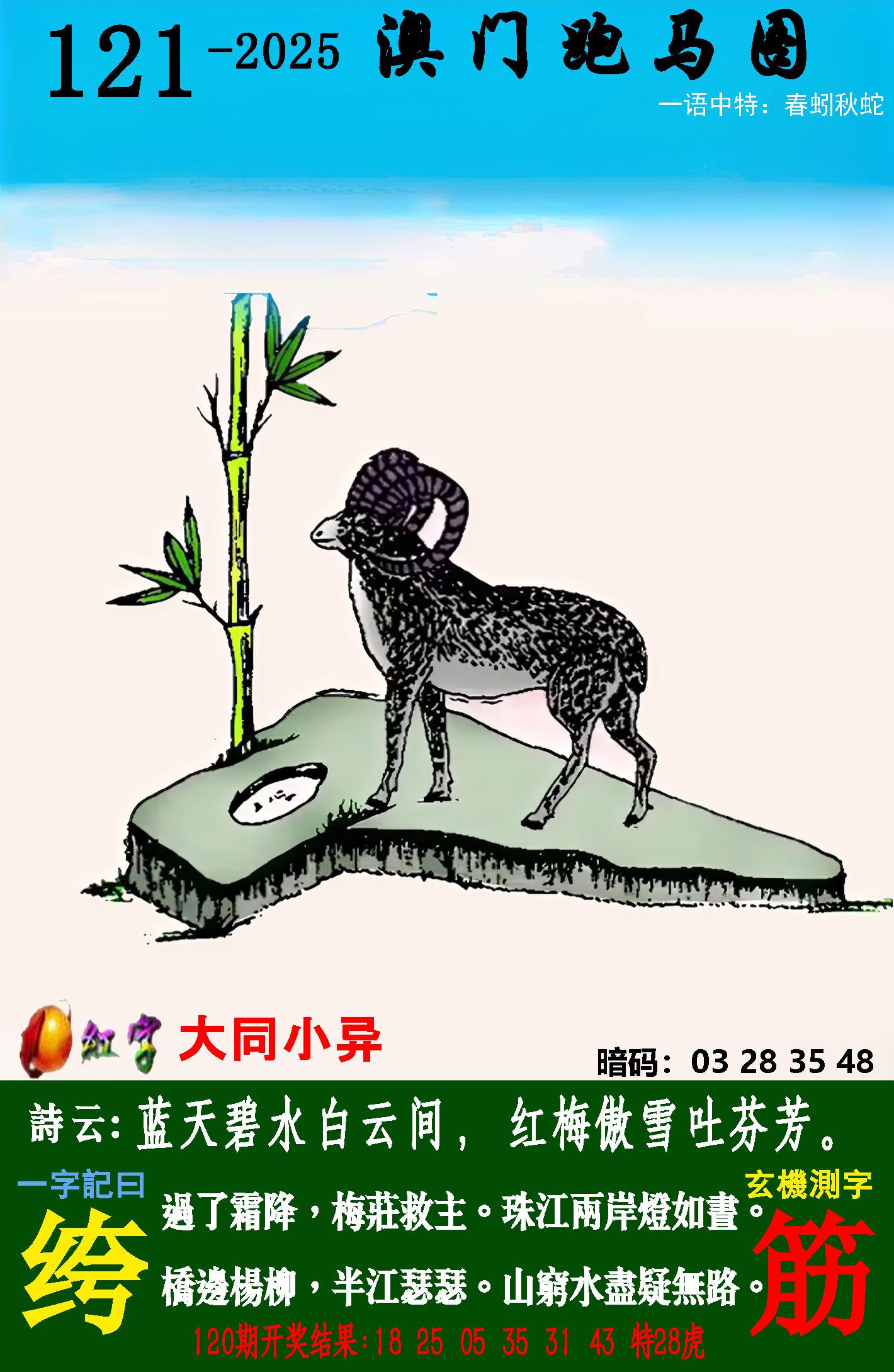 点击图片放大