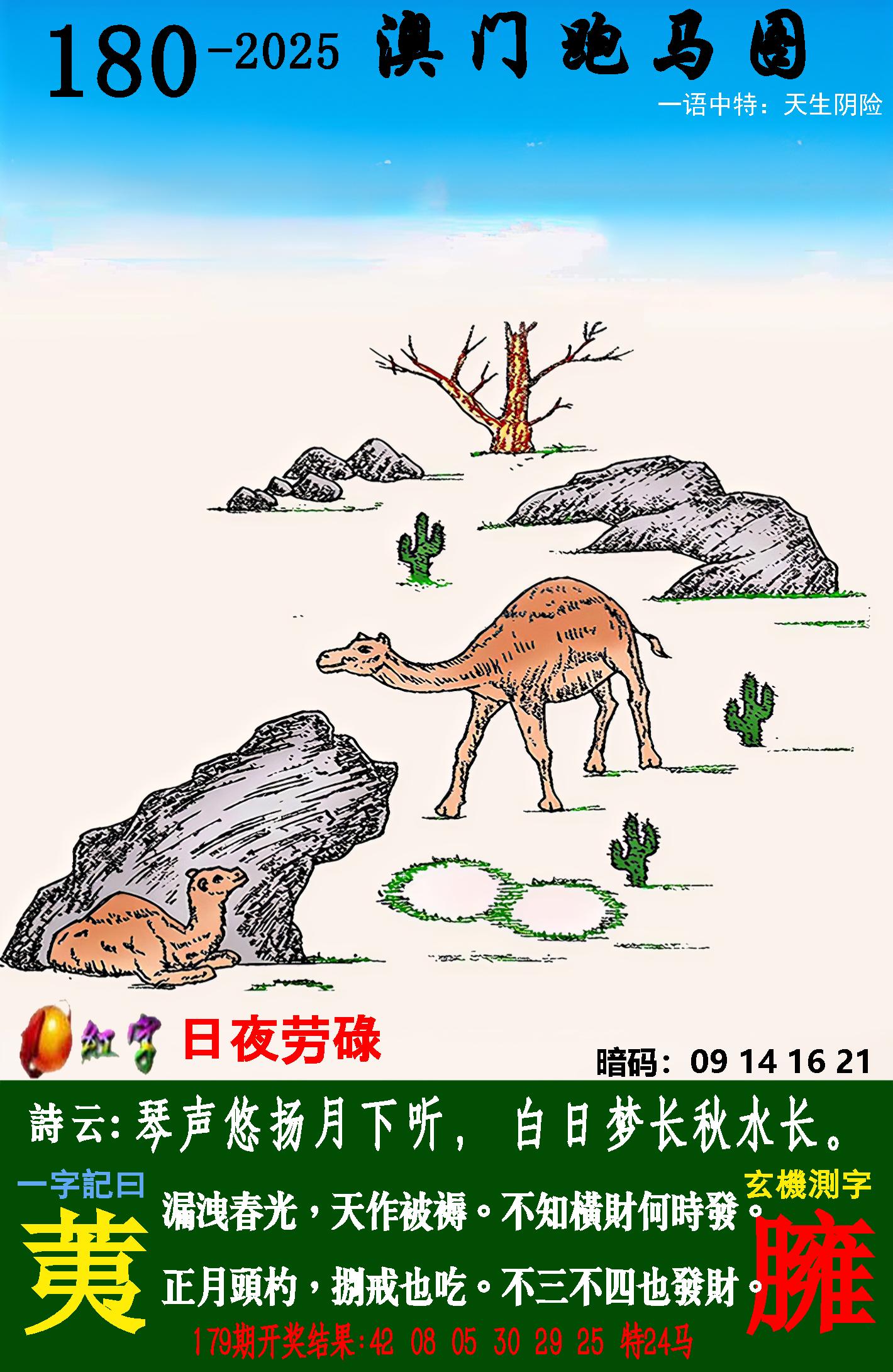 点击图片放大