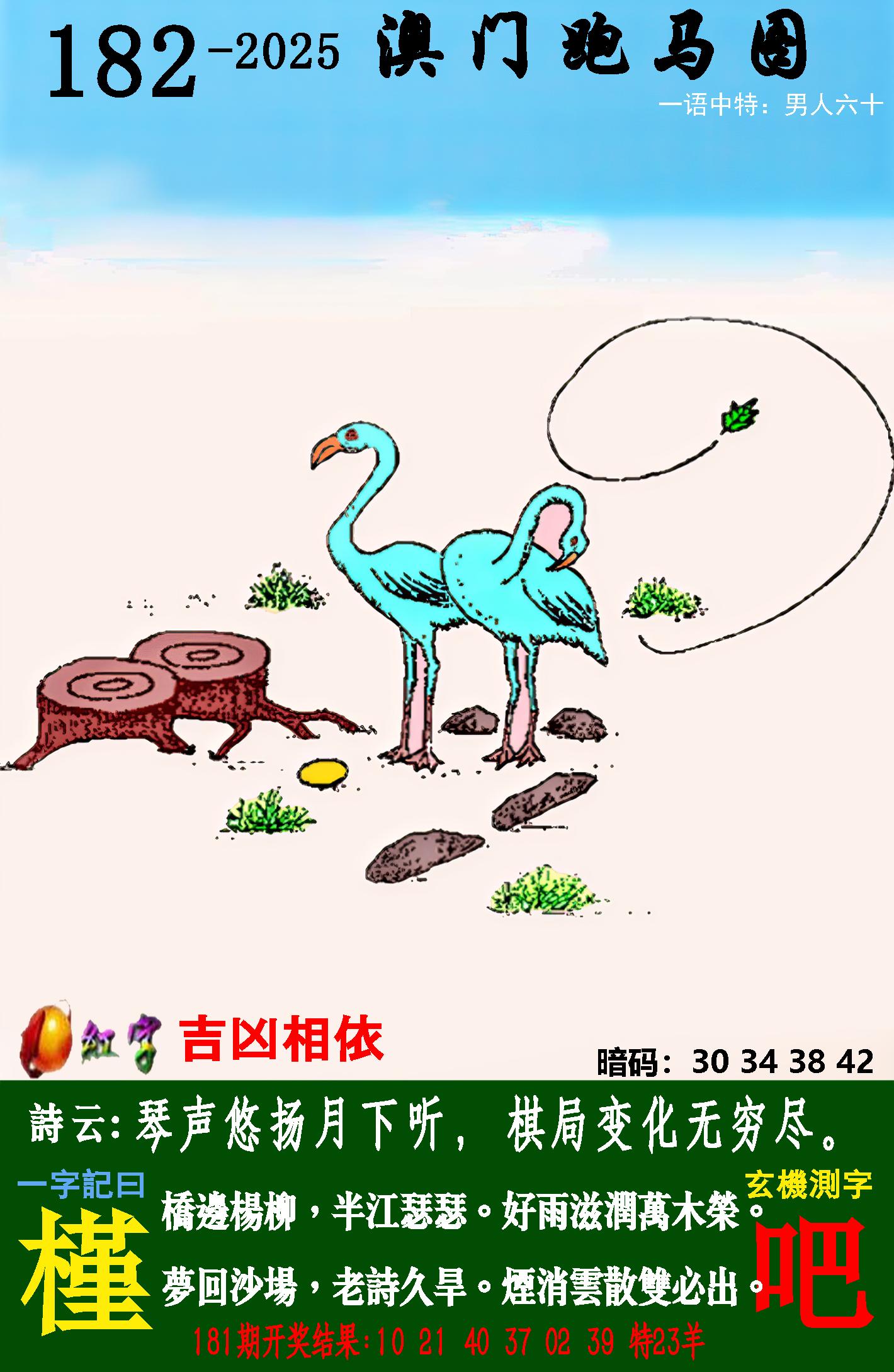点击图片放大
