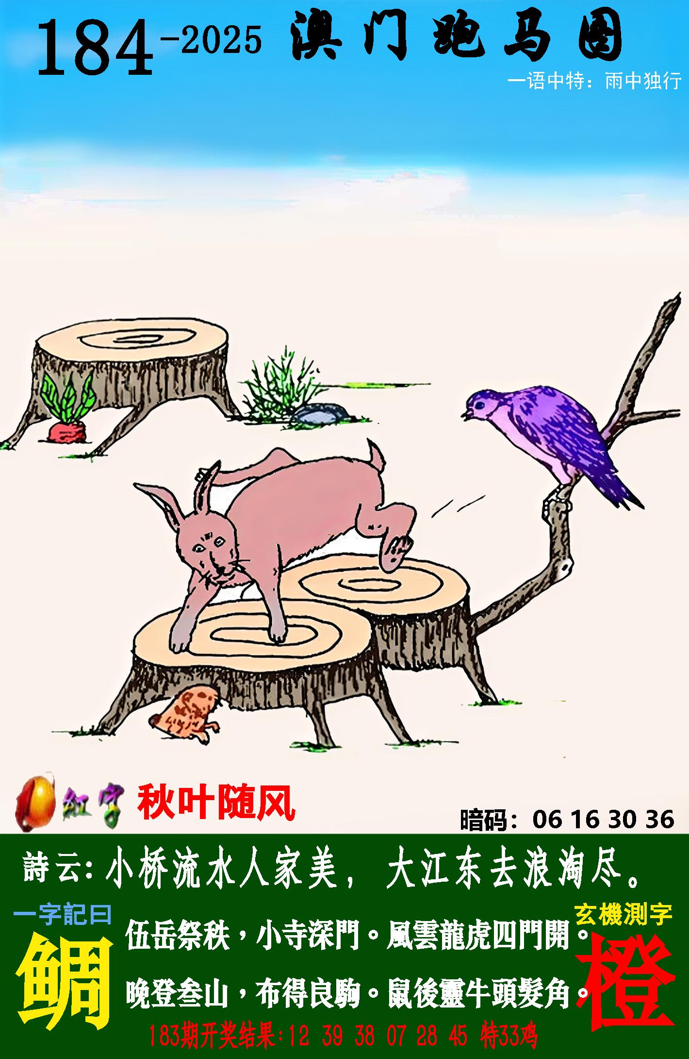点击图片放大