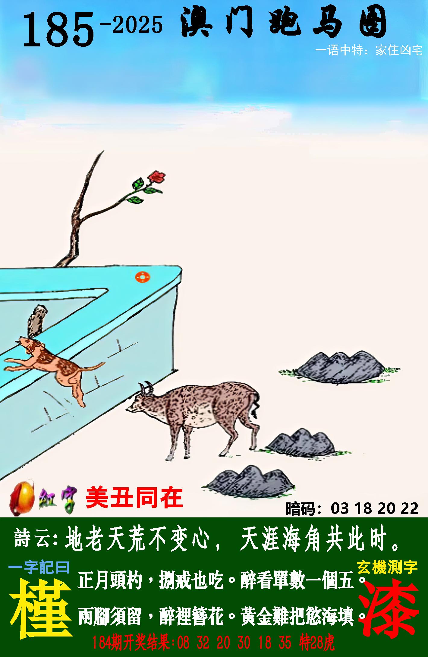 点击图片放大