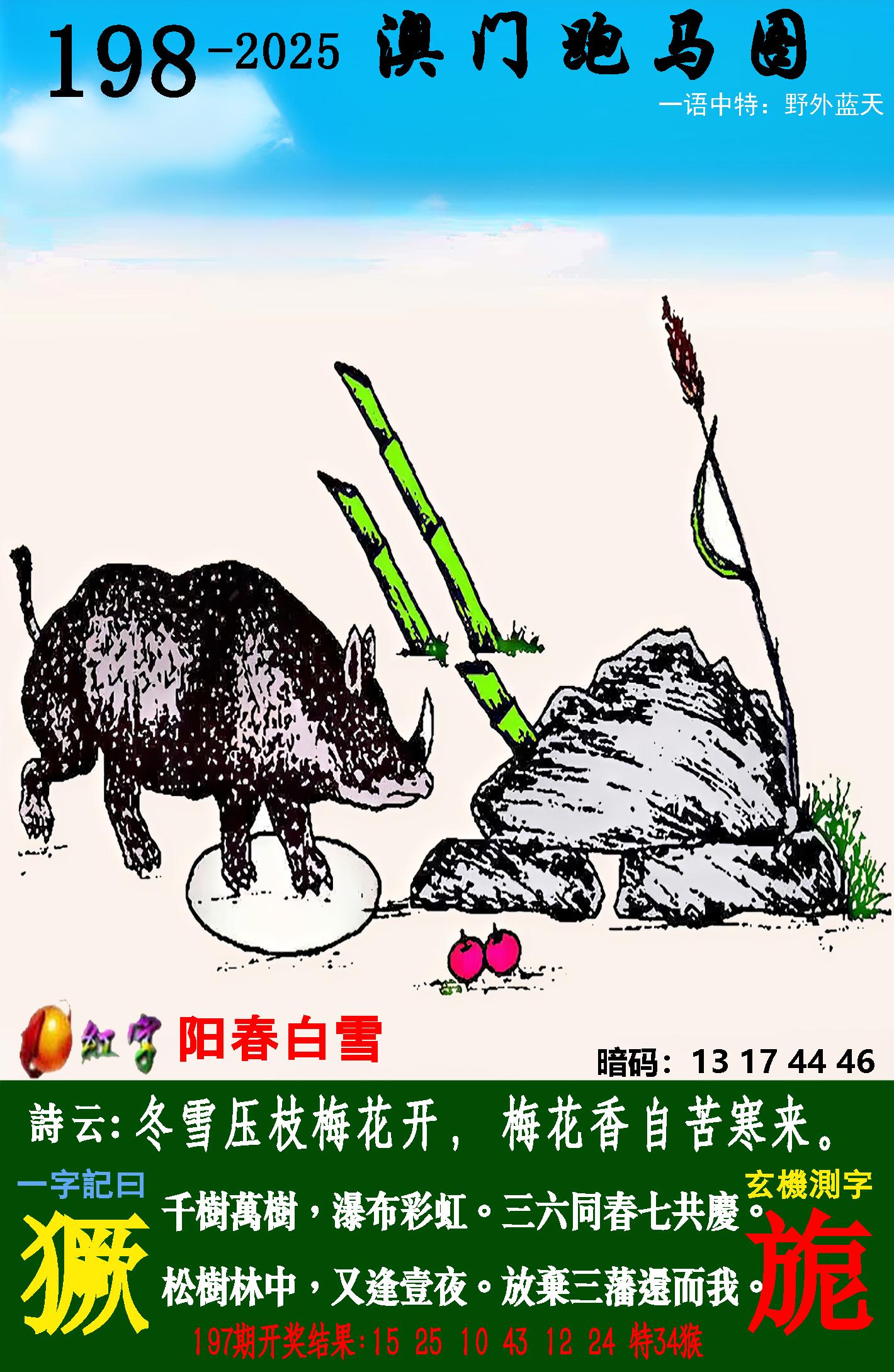 点击图片放大